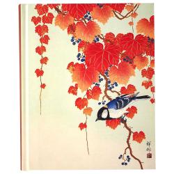 Buchcover mit einem Vogel auf einem Ast. Rote Blätter und blaue Beeren im Hintergrund.