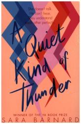 Sara Barnard: A Quiet Kind of Thunder - Taschenbuch