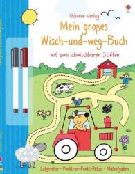 Sam Taplin: Mein großes Wisch-und-weg-Buch - Taschenbuch