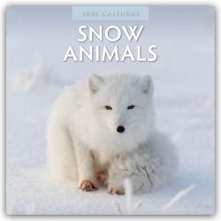 Red Robin Publishing Ltd: Snow Animals - Arktische Tiere 2025 - 16-Monatskalender