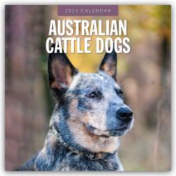 Red Robin Publishing Ltd: Australian Cattle Dogs - Australian Cattle Dog 2025 - 16-Monatskalender