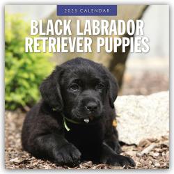 Red Robin Publishing Ltd: Black Labrador Retriever Puppies - Schwarze Labrador Retriever Welpen 2025 - 16-Monatskalender