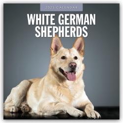 Red Robin Publishing Ltd: White German Shepherds - Weißer Deutscher Schäferhund 2025 - 16-Monatskalender