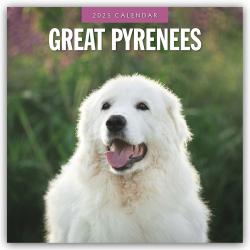 Red Robin Publishing Ltd: Great Pyrenees - Pyrenäenberghund 2025 - 16-Monatskalender