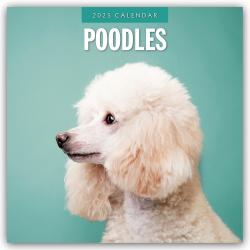 Red Robin Publishing Ltd: Poodles - Pudel 2025 - 16-Monatskalender