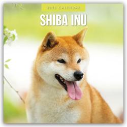 Red Robin Publishing Ltd: Shiba Inu 2025 - 16-Monatskalender