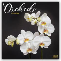 Avonside Publishing Ltd: Orchids - Orchideen 2025 - 16-Monatskalender