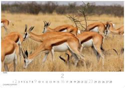 Kenia/Serengeti 2025 S 24x35 cm