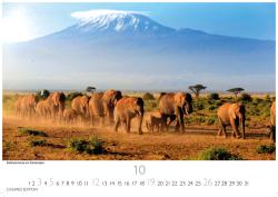 Kenia/Serengeti 2025 S 24x35 cm