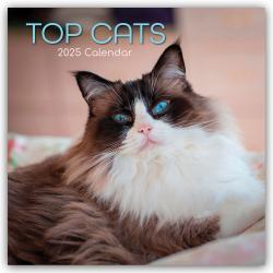 Gifted Stationery Co. Ltd: Top Cats - Top-Katzen 2025 - 16-Monatskalender