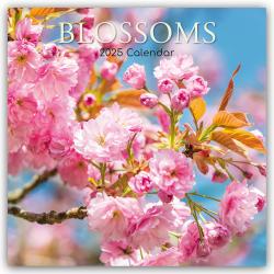 The Gifted Stationery Co. Ltd: Blossoms - Blüten 2025 - 16-Monatskalender