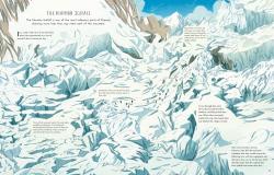 Alexandra Stewart: Everest (Graphic Novel) - gebunden