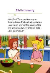 Bibi & Tina: Picknick bei Vollmond - gebunden