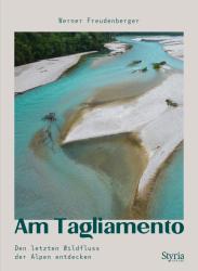 Werner Freudenberger: Am Tagliamento - Taschenbuch