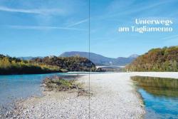 Werner Freudenberger: Am Tagliamento - Taschenbuch