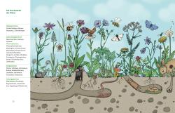 Jan Haft: Meine Wiese.  - Entdecke eine wunderbare Welt - gebunden