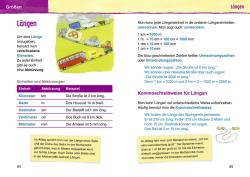 Wiebke Salzmann: Mathewortschatz für die Grundschule - Taschenbuch