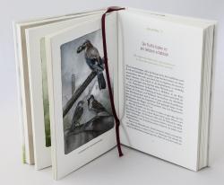 Johanna Romberg: Federnlesen - gebunden