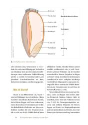 Markus Escher: Expertenwissen: Zöliakie - Taschenbuch
