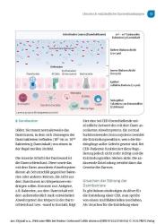 Jürgen-Michael Stein: Wirksame Hilfe bei Morbus Crohn und Colitis ulcerosa - Taschenbuch