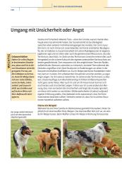 Jan Nijboer: Vom Welpen zum Familienhund mit Natural Dogmanship - gebunden