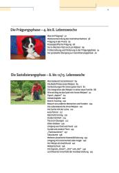 Jan Nijboer: Vom Welpen zum Familienhund mit Natural Dogmanship - gebunden