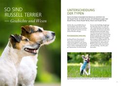 Petra Hagemeier: Parson und Jack Russel Terrier - Taschenbuch