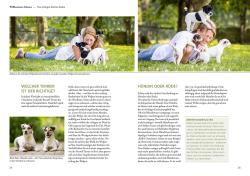 Petra Hagemeier: Parson und Jack Russel Terrier - Taschenbuch