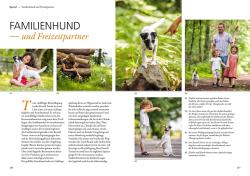 Petra Hagemeier: Parson und Jack Russel Terrier - Taschenbuch