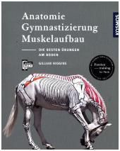 Gillian Higgins: Anatomie, Gymnastizierung, Muskelaufbau - Taschenbuch