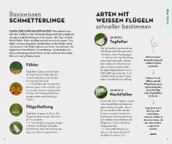 Eva-Maria Dreyer: Basic Schmetterlinge - Taschenbuch