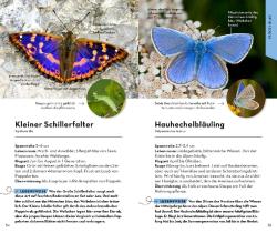 Eva-Maria Dreyer: Basic Schmetterlinge - Taschenbuch