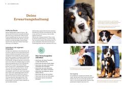 Sonja Meiburg: Welpenschule - Taschenbuch