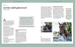 Ruth Katzenberger-Schmelcher: Gehirnjogging für clevere Pferde - Taschenbuch