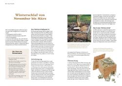 Monika Neumeier: Igel im Garten - Taschenbuch