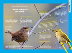 Kalle Nibbenhagen: Nature Guide Vögel - Taschenbuch