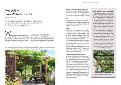 Angelika Schartl: Wein im Garten anbauen & ernten - Taschenbuch