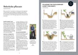Angelika Schartl: Wein im Garten anbauen & ernten - Taschenbuch