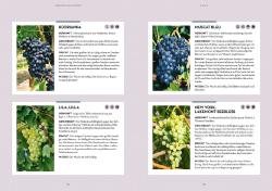 Angelika Schartl: Wein im Garten anbauen & ernten - Taschenbuch