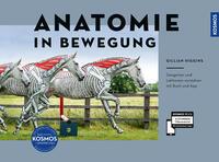 Gillian Higgins: Anatomie in Bewegung - gebunden