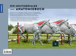 Gillian Higgins: Anatomie in Bewegung - gebunden