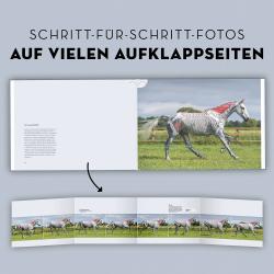 Gillian Higgins: Anatomie in Bewegung - gebunden
