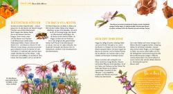 David Gerstmeier: Ein Jahr mit den Bienen - gebunden