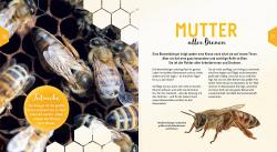 David Gerstmeier: Ein Jahr mit den Bienen - gebunden