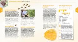 David Gerstmeier: Ein Jahr mit den Bienen - gebunden