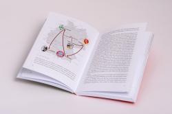 Nils Petersen: Bank-Geheimnis - Taschenbuch
