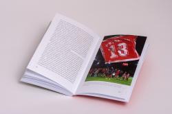 Nils Petersen: Bank-Geheimnis - Taschenbuch