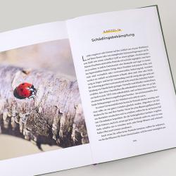 Dave Goulson: Bienenweide und Hummelparadies - gebunden