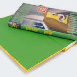 Buchcover von 'Wohnen' von Doris Dörrie. Gelbe Küchenoberfläche mit Äpfeln auf einem Teller.
