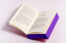 Hannah Nicole Maehrer: Apprentice to the Villain - Taschenbuch